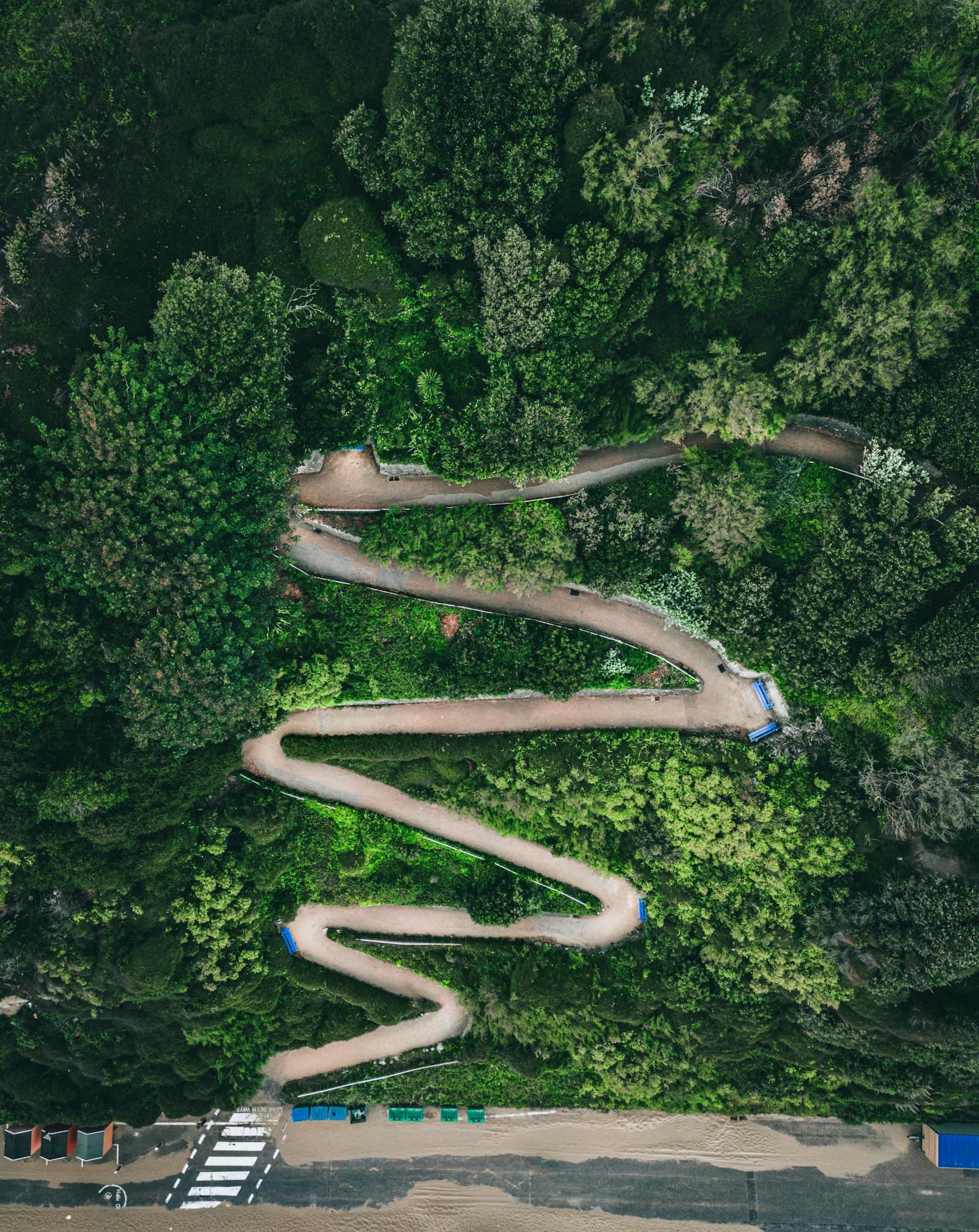 Aerial view of a winding road through a forest